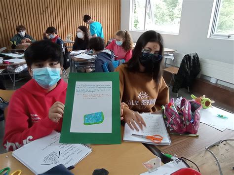 Comit Medio Ambiental Lyc E Claude Gay Osorno Colegio Franc S De Osorno