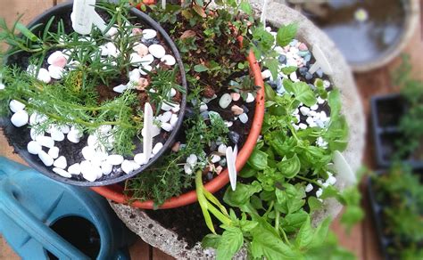 Stacked Herb Tower ⋆ The Gardening Foodie
