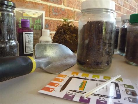March activity: Raising soil fertility - Permaculture Central Coast