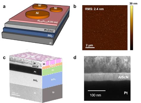 schematic  afm height image   composite image   alscn