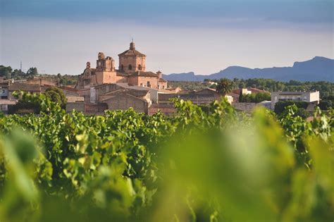 Ginestar Turisme De La Ribera D Ebre