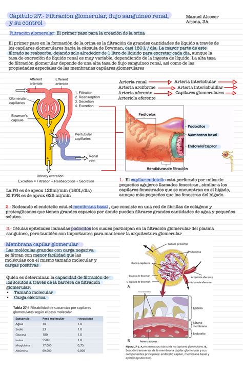 Apuntes Fisiolog A Capitul Cap Tulo Filtraci N Glomerular