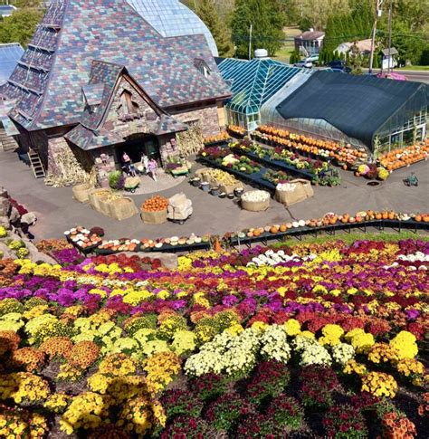 Otts Exotic Plants Schwenksville Pa Been There Done That With Kids