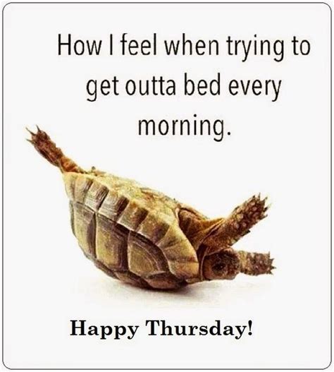 101 Funny Thursday Memes That Work Day and Night to Make You Happy