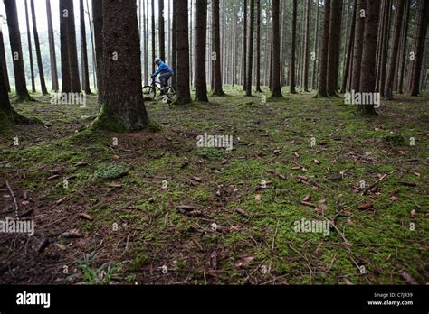 Man Mountain Biking In Forest Stock Photo Alamy