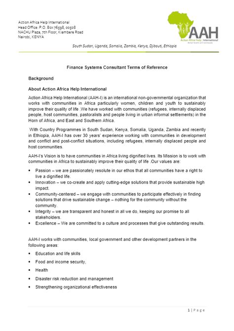 finance consultant tor action africa  international