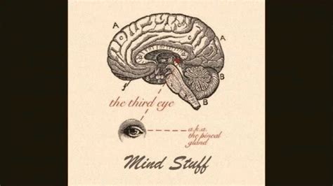 Horny As A Dandy Mousse T Ft The Dandy Warhols YouTube