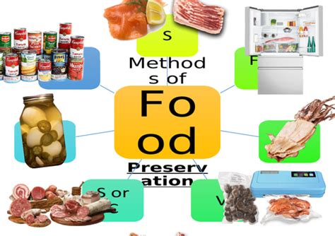 Methods Of Food Preservation Worksheet Teaching Resources