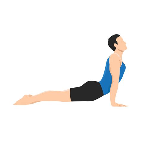 Man doing upward facing dog pose urdhva muka exercise 20772410 Vector