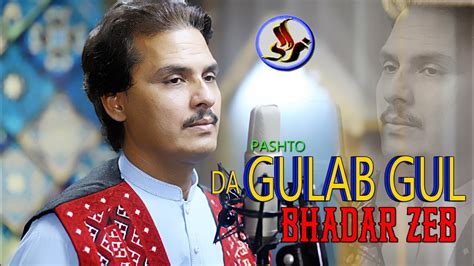 Pashto New Song Bhadar Zeb Da Gulab Gul Che Lewany Nashi No