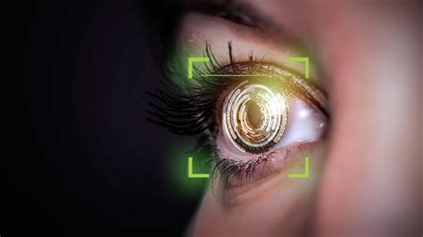 What Is Iris Recognition System Papilon Tr