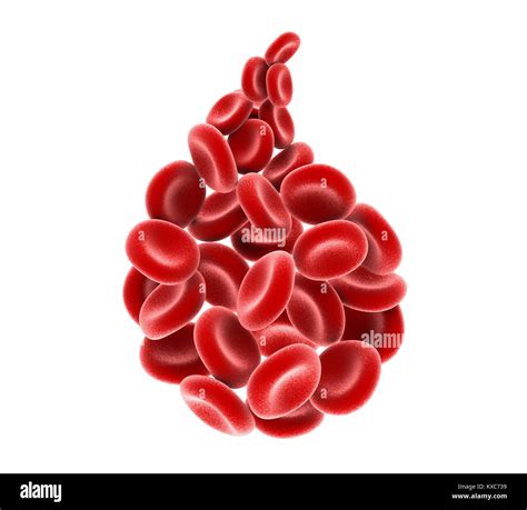 Drop Of Red Blood Cells Isolated Stock Photo Alamy