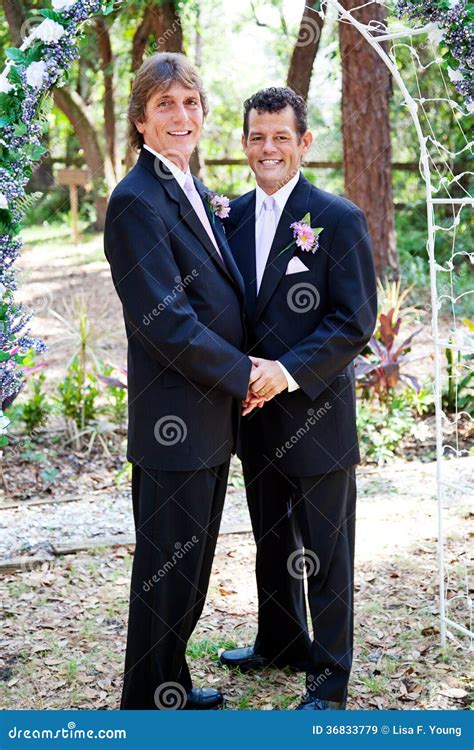 Coppie Gay Di Nozze Nell Amore Immagine Stock Immagine Di Interrazziale Arco