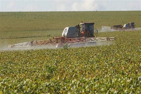 Raio Cai Em Propriedade Rural E Mata Trinta Bois Agron Agronégocios