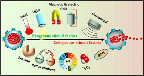 Frontiers Advances And Perspective On Antimicrobial Nanomaterials For