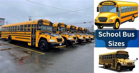 long   school bus  complete guide  school bus sizes