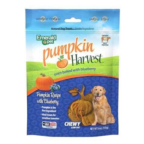 10 Best Low Fat Dog Treats