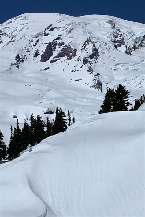 Seattle Mt Rainier Hiking W Waterfalls Glaciers And Trees Getyourguide