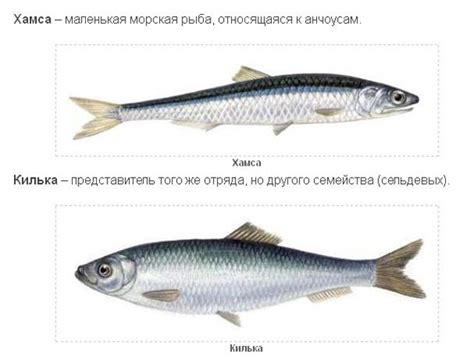 Это уже из разряда секретных технологий сумрачного тевтонского гения ...