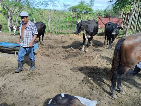 Ministerio De Desarrollo Agropecuario On Twitter Veraguas Como