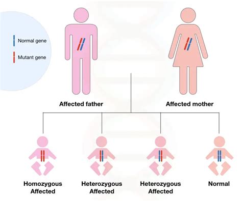 How Is Huntington S Disease Inherited