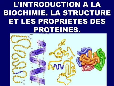 Lintroduction A La Biochimie La Structure Et Les Proprietes Des