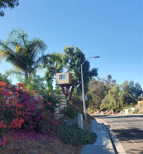 1589 best San Diegan images on Pholder | Sandiego, San Diegan and Padres