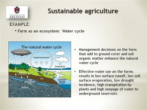 Ppt Sustainable Agriculture Powerpoint Presentation Free Download