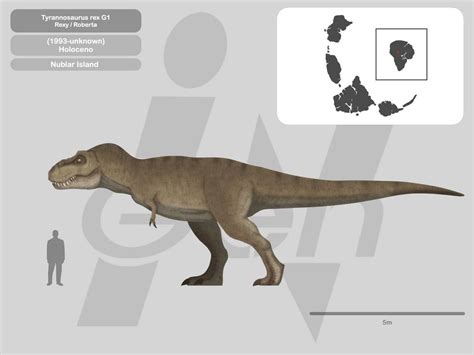 Perfil Tyrannosaurus Rex Jp 1993 Rexyroberta By Paleohistoric On