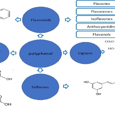 The Major Groups Of Polyphenols Include Flavonoids Phenolic Acids