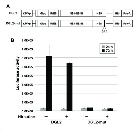 Hirsutine Does Not Inhibit Subgenomic Reporter Replicon Activity A