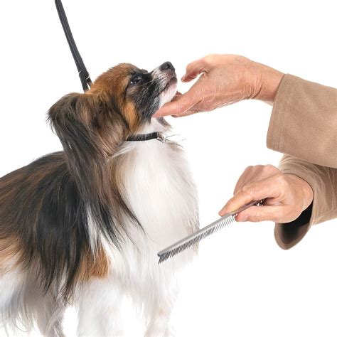 Stainless Steel Pet Grooming Comb 19 x 3.5 cm Rounded Teeth Dog Comb Greyhound Comb Grooming