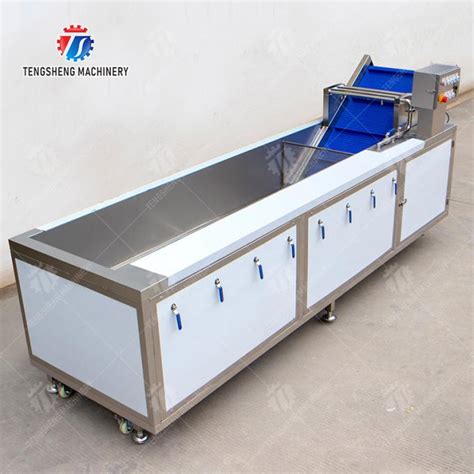 High Efficiency Fruits And Vegetables Washer For Dandelions Coriander