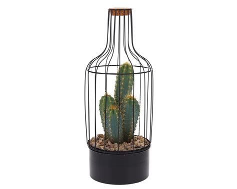 The Green Bottle Garden | Bring plant design into your home.