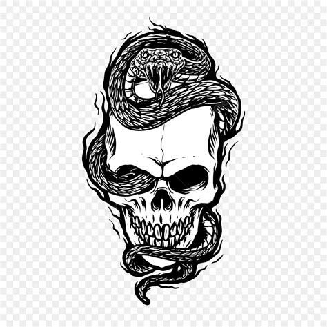 Drawings Of Skulls And Snakes