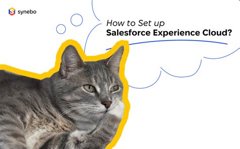 How to Set up Salesforce Experience Cloud? | Synebo