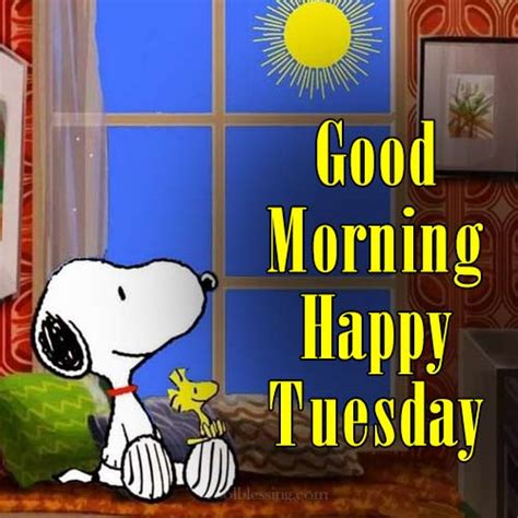 Snoopy Tuesday Morning Images