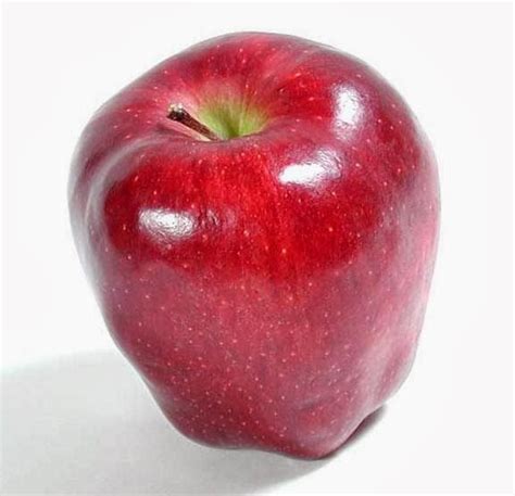 manfaat buah apel bagi kesehatan  buah sehat