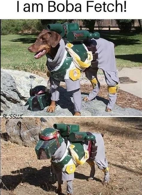 goodest bounty hunter meme  audilover memedroid