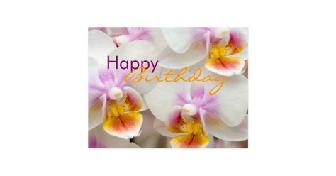 Orchid • Birthday Postcard