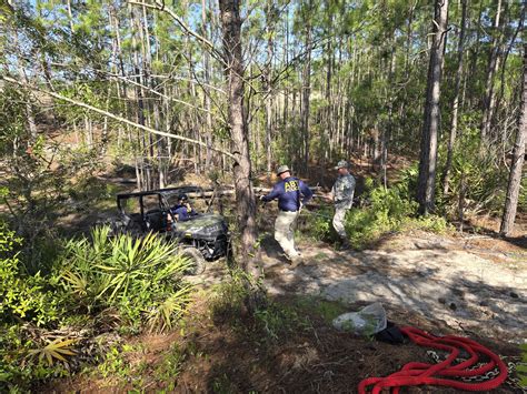 New mobile features in flhsmv portal surprise florida drivers 22