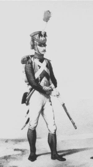 French Uniforms of the Napoleonic Wars : Young Guard : Napoleon ...