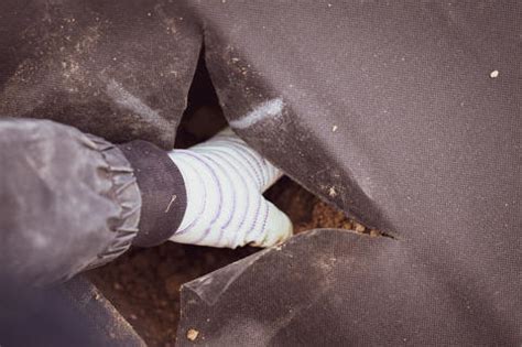 A Person Selects The Excess Soil From The Hole The Soil Is Covered