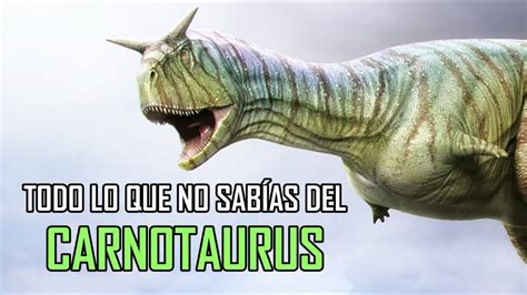 Todo lo que no sabías del Carnotaurus Sastrei YouTube