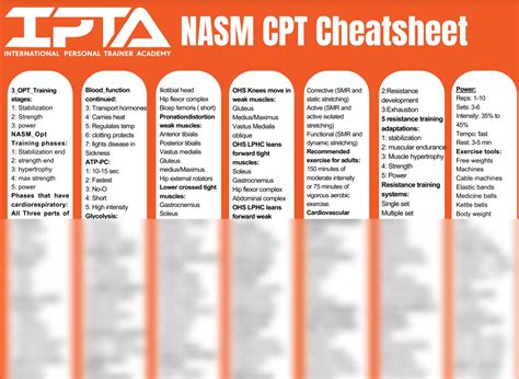 Free NASM Cheat Sheet 2024 Reduce Study Time Significantly