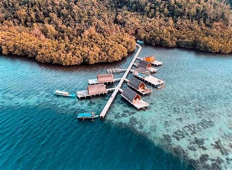 Pulau Pahawang Info Open Trip Resort Dan Harga 2025