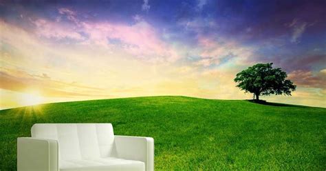 Custom Wall Murals For Walls: Nature Wallpaper For Walls