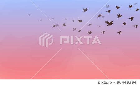 Pixta