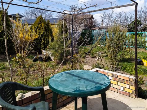 Дневник самоизоляции: День 5-й, разгрузочный | Дневник отчаянных ...