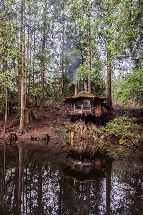 Voice of Nature - The Stump House. Old-growth stump as foundation,...